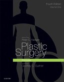 Plastic Surgery E-Book (eBook, ePUB)