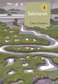 Saltmarsh (eBook, ePUB)