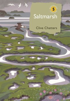 Cover Saltmarsh (eBook, PDF)