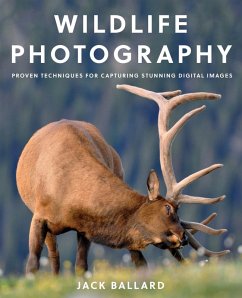 Wildlife Photography (eBook, ePUB) - Ballard, Jack