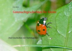 Gutenachtgeschichten für Kleine (eBook, ePUB) - Richter, Heike