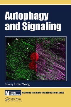 Cover Autophagy and Signaling (eBook, ePUB)