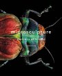 Microsculpture (eBook, ePUB) - Bild 1