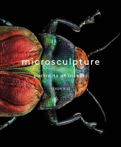 Microsculpture (eBook, ePUB) - Biss, Levon