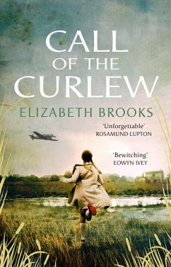 Call of the Curlew (eBook, ePUB) - Brooks, Elizabeth