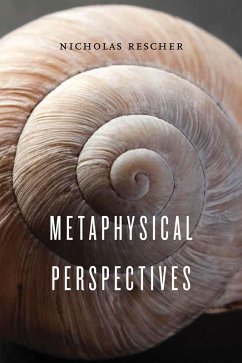 Cover Metaphysical Perspectives (eBook, ePUB)
