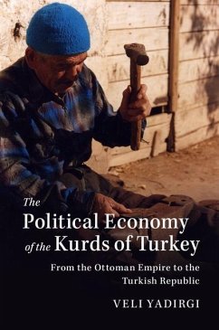 Political Economy of the Kurds of Turkey (eBook, ePUB) - Yadirgi, Veli