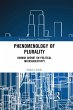 Phenomenology of Plurality (eBook, ePUB) - Bild 1
