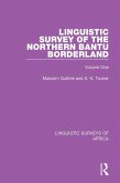 Linguistic Survey of the Northern Bantu Borderland (eBook, PDF)
