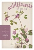 Wildflowers of Maine (eBook, ePUB)