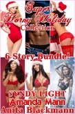 Super Horny Holiday Collection: 6 Story Bundle! (Christmas Erotica, #6) (eBook, ePUB)