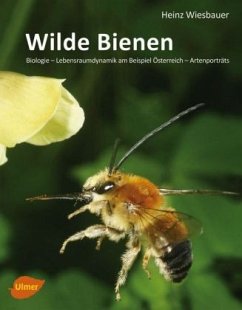 Wilde Bienen - Wiesbauer, Heinz