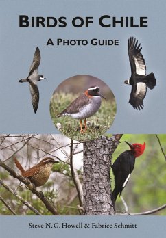 Birds of Chile - Schmitt, Fabrice;Howell, Steve N.G.