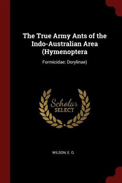 The True Army Ants of the Indo-Australian Area (Hymenoptera: Formicidae: Dorylinae)