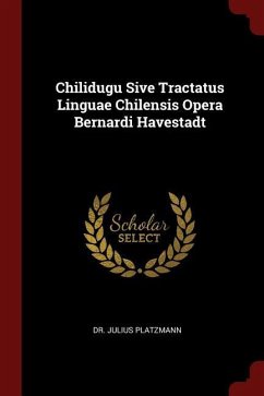 Chilidugu Sive Tractatus Linguae Chilensis Opera Bernardi Havestadt
