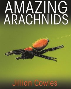 Amazing Arachnids - Cowles, Jillian