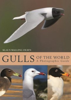 Gulls of the World - Olsen, Klaus Malling
