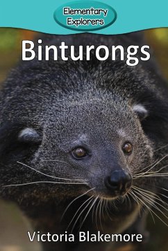 Binturongs - Blakemore, Victoria