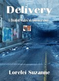 Delivery (The Divided States of America, #11) (eBook, ePUB) Delivery (The Divided States of America, #11) (eBook, ePUB)