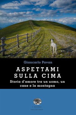 Aspettami sulla cima - Pavan, Giancarlo