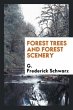 Forest Trees and Forest Scenery - Bild 1