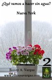 ¿Qué vamos a hacer sin agua?: Nueva York (eBook, ePUB)