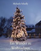 Ein Wunder zu Weihnachten (eBook, ePUB)