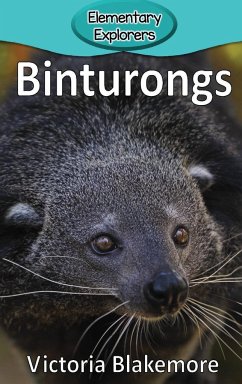 Binturongs - Blakemore, Victoria