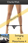 Swinging in a Motorhome 4 (eBook, ePUB)
