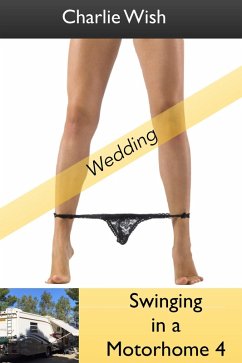Cover Swinging in a Motorhome 4 (eBook, ePUB)