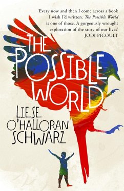 The Possible World (eBook, ePUB) - O'Halloran Schwarz, Liese