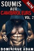 Soumis Aux Cambrioleurs Vol. 2 (eBook, ePUB)