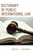 Dictionary of Public International Law - Bild 1