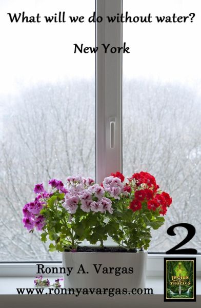 What Will We Do Without Water?: New York (eBook, ePUB)