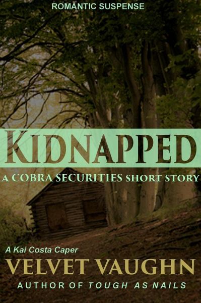Kidnapped (COBRA Securities, #12) (eBook, ePUB)