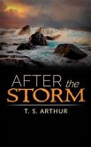 After the Storm (eBook, ePUB)