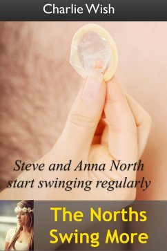 Cover The Norths Swing More (eBook, ePUB)