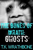 The Bones of Wrath (eBook, ePUB)