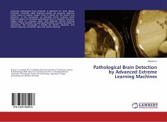 Pathological Brain Detection by Advanced Extreme Learning Machines - Lu, Siyuan