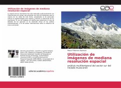 Utilización de imágenes de mediana resolución espacial - Palomino Espinoza, Mauro