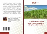 L¿agriculture au Nord-Bénin est menacée par le dérèglement climatique