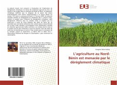 L¿agriculture au Nord-Bénin est menacée par le dérèglement climatique - Sohou, Enagnon Brice