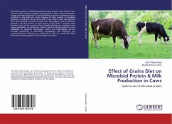 Effect of Grains Diet on Microbial Protein & Milk Production in Cows