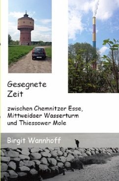 Gesegnete Zeit zwischen Chemnitzer Esse, Mittweidaer Wasserturm und Thiessower Mole - Wannhoff, Birgit