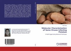 Molecular Characterization of Some Viruses Infecting Potatoes - Aseel, Dalia