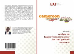Analyse de l'approvisionnement sur les sites perenco cameroun - Tchoubet, Dalvin