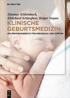 Klinische Geburtsmedizin (eBook, ePUB) - Schlembach, Dietmar; Schleußner, Ekkehard; Stepan, Holger