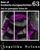 Erotische Kurzgeschichten - Best of 63 (eBook, ePUB)