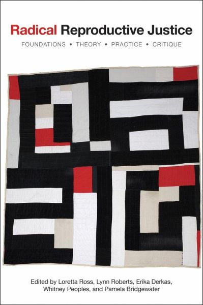 Radical Reproductive Justice (eBook, ePUB)