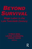Beyond Survival (eBook, PDF)